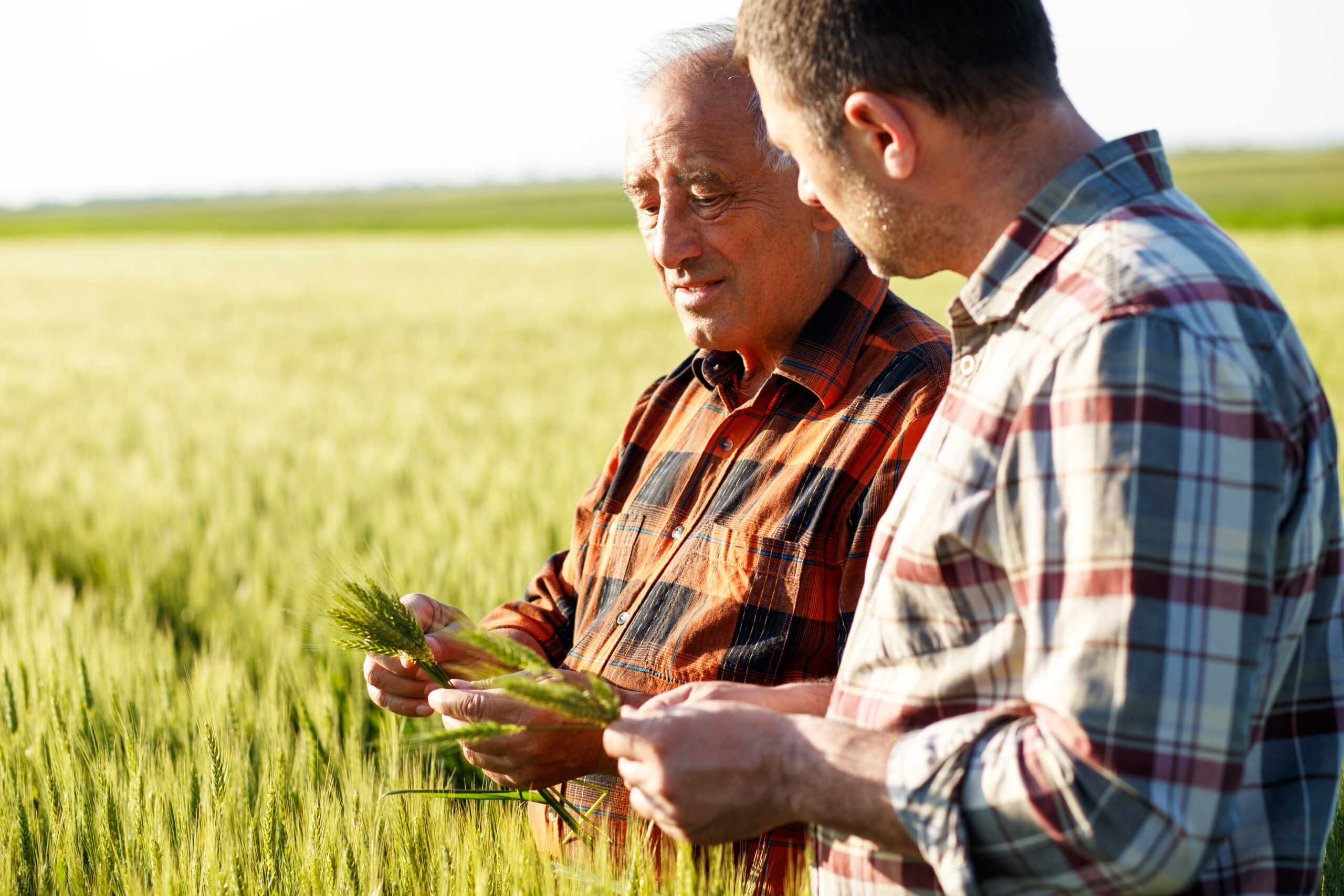 Agriculture